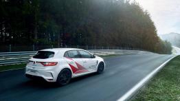 Renault Megane RS Trophy-R szybsze od Hondy Civic Type R. W sprzedaży pod koniec roku