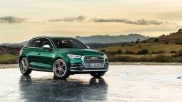 Nowe Audi SQ5 w dieslu i z elektryczną sprężarką