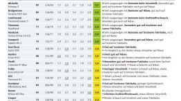 Test opon letnich ADAC 2018