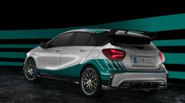 Świętują mistrzostwo F1 specjalnym modelem