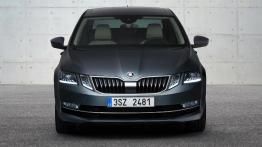 Odświeżona Skoda Octavia z nietypowymi światłami