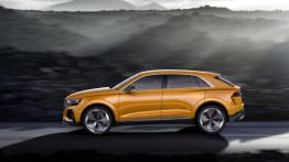 Wielozadaniowe Audi Q8 Sport Concept