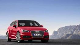 Audi A3 Sportback e-tron już na polskim rynku
