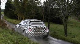 Skoda Fabia R5 - zapowiedź przed debiutem