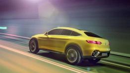 Mercedes-Benz Concept GLC Coupe - walka trwa