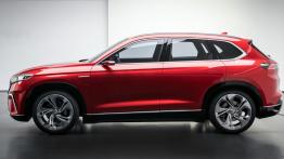 Turcja będzie miała własną markę. Na początek kompaktowy TOGG C-SUV