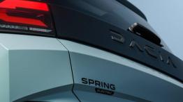 Dacia podjęła decyzję w sprawie Springa. To koniec produkcji w Chinach