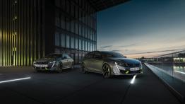 Peugeot 508 Sport Engineered. Co znaczy dla marki?
