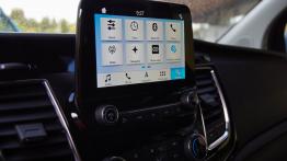 Nowy Ford Transit i Tourneo PHEV / MHEV – czy hybryda da Ci zarobić?