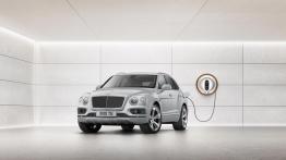 Bentley Bentayga – i co dalej?