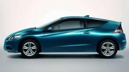 Hybryda z potencjałem