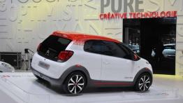 Na żywo z Genewy: nowości francuskich marek