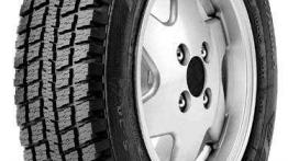 Królowe zimy z Dębicy