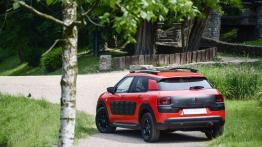 Citroen C4 Cactus BlueHDi - z dieslem do miasta