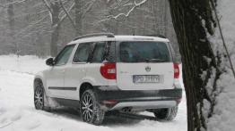 Trzy w jednym - Skoda Yeti
