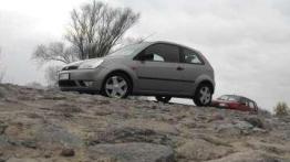 Maluch z charakterem - Ford Fiesta VI (2001-2008)