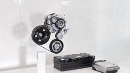 Grażynka, będzie nowy Volkswagen Golf!