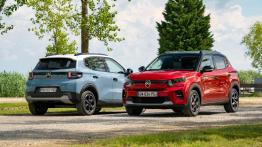 Rynek samochodów elektrycznych w Polsce po III kwartale 2025