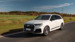 Audi Q7 II SUV Facelifting  3.0 45 TDI 231KM 170kW od 2019
