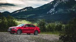 Audi A3 8V Sportback 5d Facelifting 2.0 40 TFSI 190KM 140kW 2019-2020