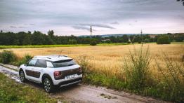 Citroen C4 Cactus Rip Curl - galeria redakcyjna