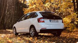 Skoda Rapid Spaceback 1.0 TSI 95 KM - galeria redakcyjna - widok z ty?u