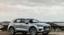 Audi Q3 (2018)