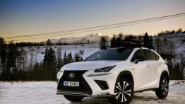 Lexus NX 300 - galeria redakcyjna (2) - widok z przodu