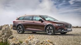 Opel Insignia Country Tourer (2017)