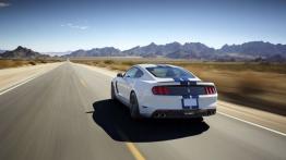 Ford Mustang VI Shelby GT350 (2016) - widok z tyłu