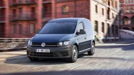 Volkswagen Caddy IV Kastenwagen (2015) - widok z przodu
