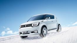 Suzuki iM-4 Concept (2015) - widok z przodu