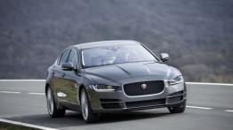 Jaguar XE 2.0d Ammonite Grey (2015) - widok z przodu