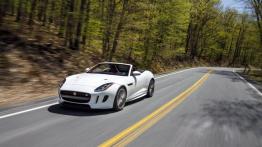Jaguar F-Type AWD R Roadster (2016) - widok z przodu