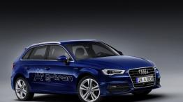 Audi A3 Sportback g-tron (2013) - widok z przodu