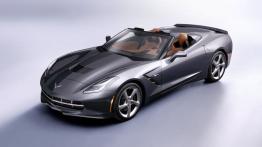 Chevrolet Corvette C7 Stingray Cabrio (2014) - widok z góry
