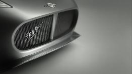 Spyker B6 Venator Concept (2013) - grill