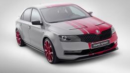 Skoda Rapid Sport Concept (2013) - widok z przodu
