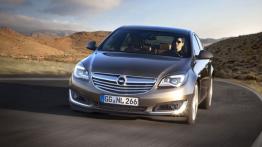 Opel Insignia Facelifting (2013) - widok z przodu