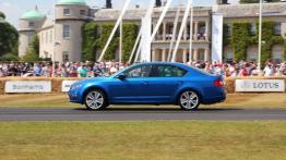 Skoda Octavia III RS - galeria redakcyjna - lewy bok