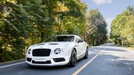 Bentley Continental GT3-R (2014) - widok z przodu