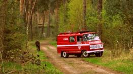 FSO Żuk 2.4 D 70KM 51kW 1991-1998