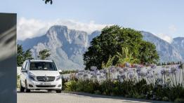 Mercedes klasy V (2014) - widok z przodu