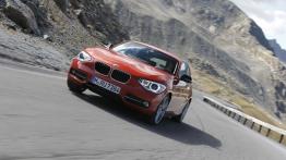 BMW 120d xDrive - widok z przodu