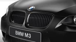 BMW M3 DTM Champion Edition - grill