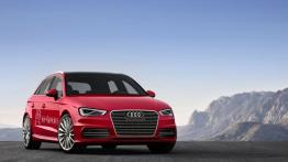 Audi A3 III Sportback e-tron (2013) - widok z przodu