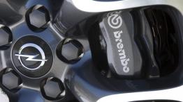 Opel Insignia I Sedan 2.0 Turbo ECOTEC 250KM 184kW 2011-2013