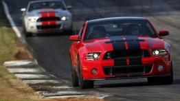 Ford Mustang Shelby GT500 Coupe 2013 - widok z przodu