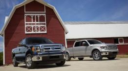 Ford F-150 - model 2013 - inne zdjęcie