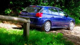 Opel Signum  Hatchback - galeria społeczności - prawy bok